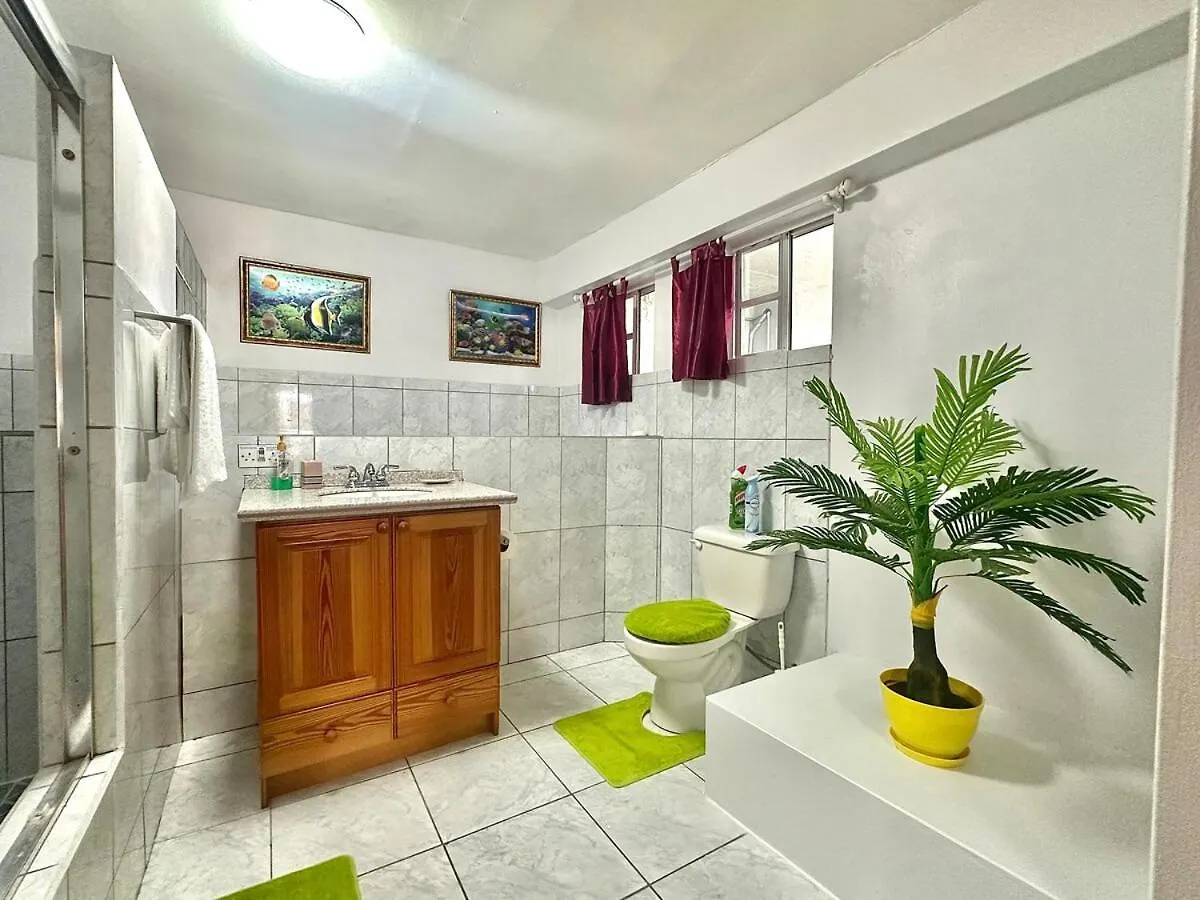 Bequia IslandHope Hideaway公寓 公寓